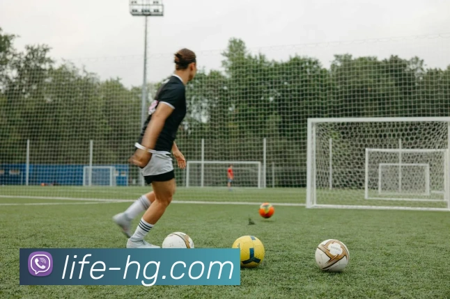 皇冠体育官网平台生态图